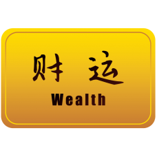 Wealth